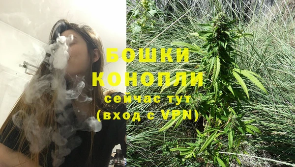 мяу мяу кристалл Няндома