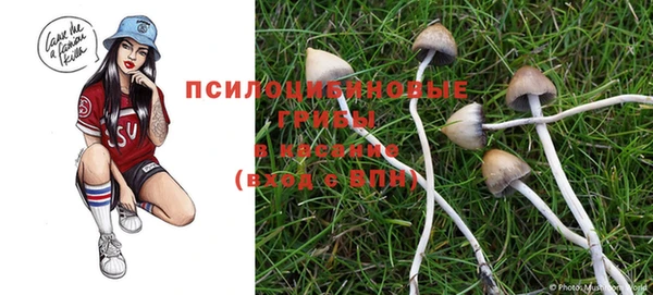 ALPHA-PVP Нязепетровск
