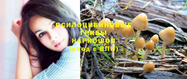 мяу мяу кристалл Няндома