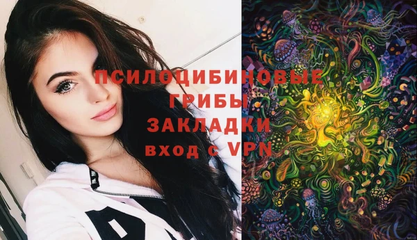 стафф Нягань
