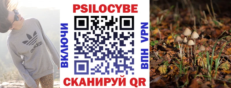 Псилоцибиновые грибы прущие грибы  закладка  Ялуторовск 