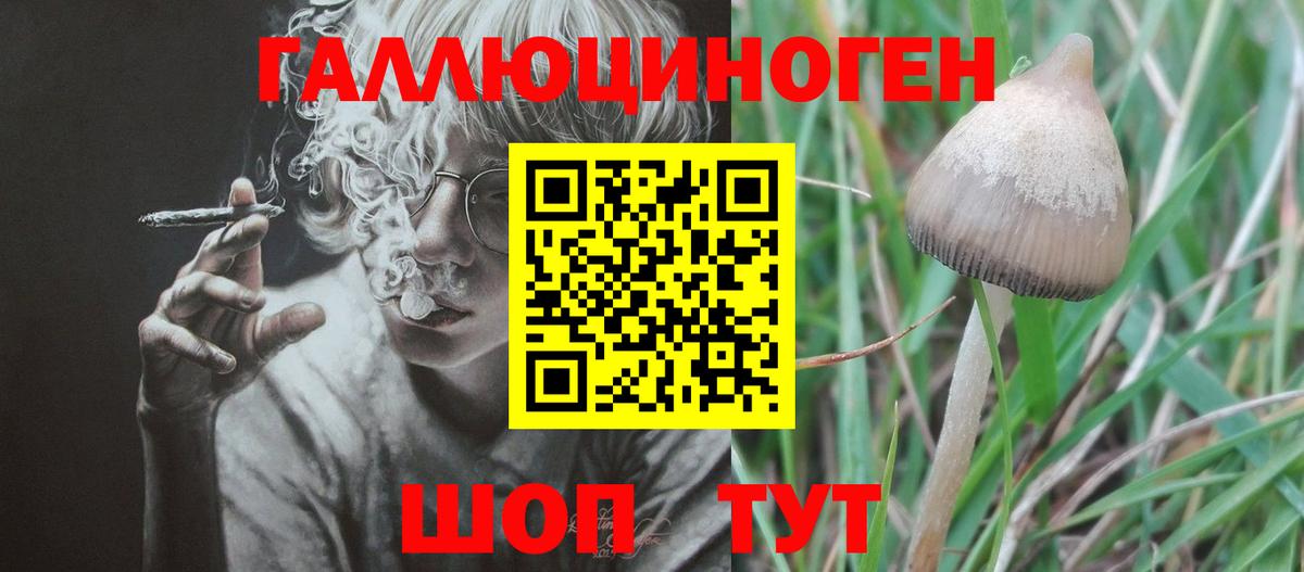 Псилоцибиновые грибы Cubensis Ялуторовск